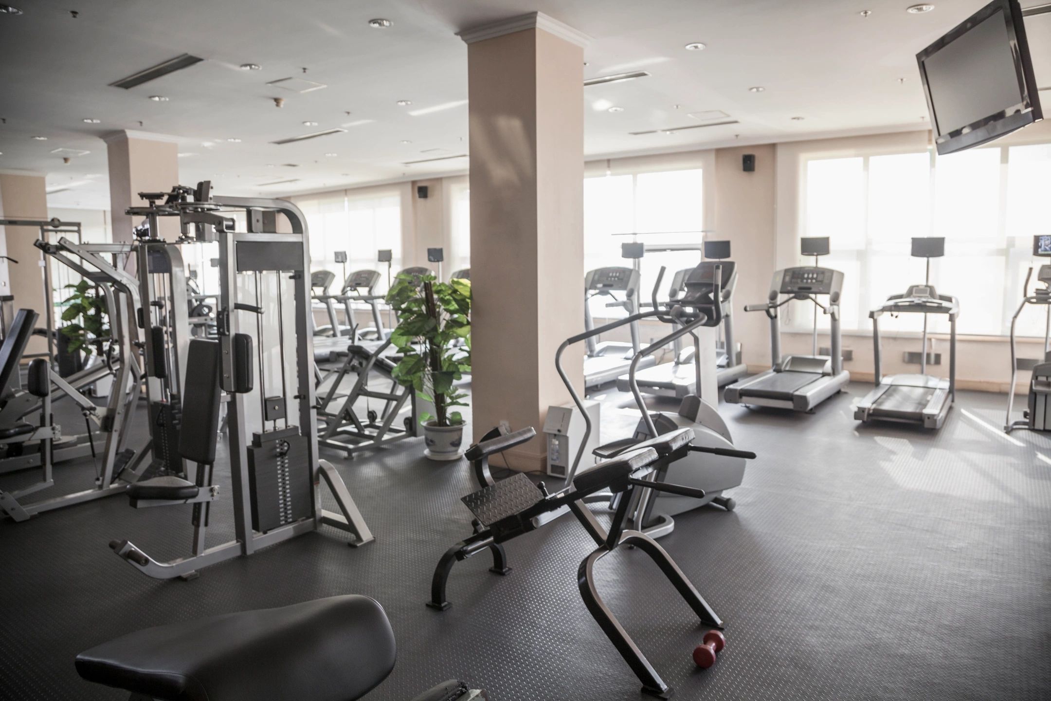 Commercial gym fit-out with fitness equipment